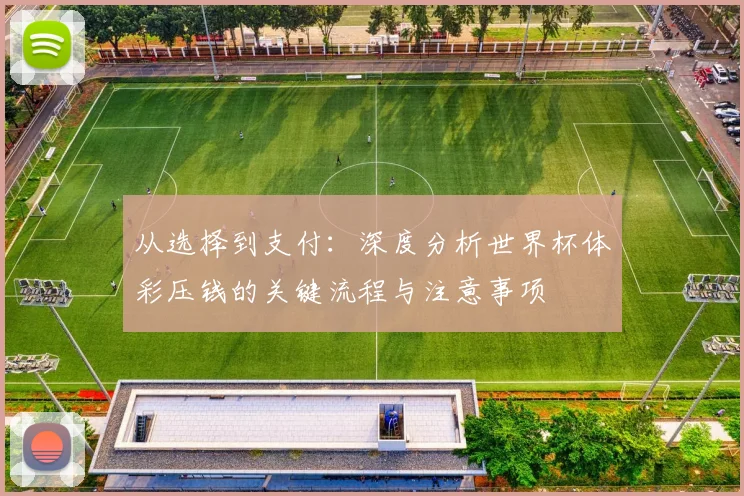 从选择到支付：深度分析世界杯体彩压钱的关键流程与注意事项