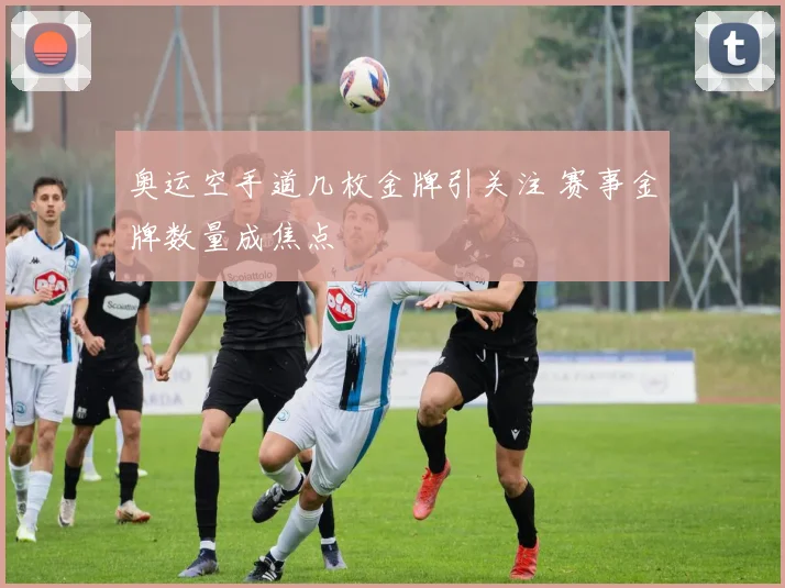 奥运空手道几枚金牌引关注 赛事金牌数量成焦点